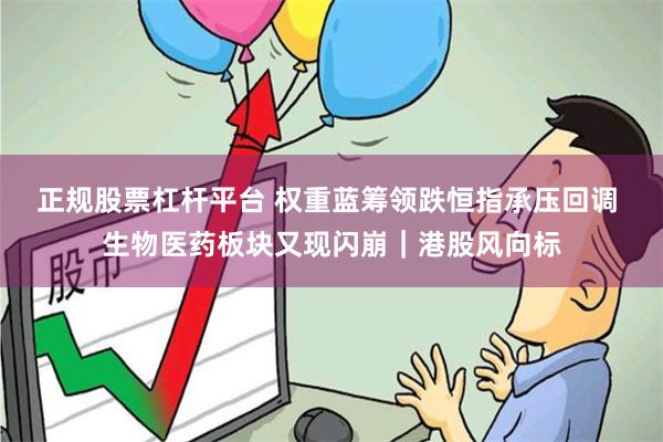 正规股票杠杆平台 权重蓝筹领跌恒指承压回调 生物医药板块又现闪崩|港股风向标