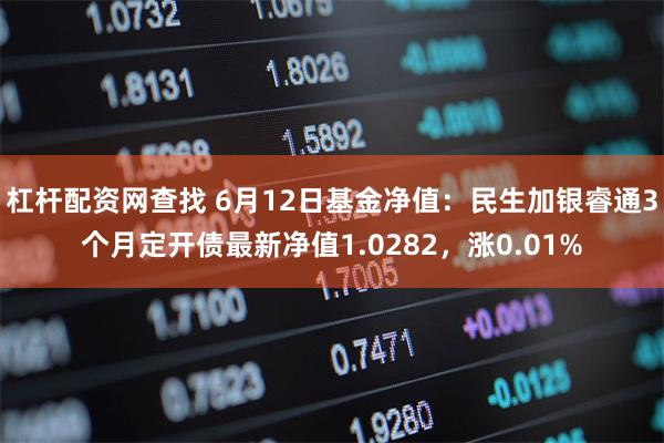 杠杆配资网查找 6月12日基金净值:民生加银睿通3个月定开债最新净值1.0282,涨0.01%