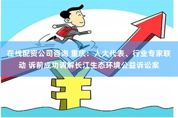 在线配资公司咨询 重庆:人大代表、行业专家联动 诉前成功调解长江生态环境公益诉讼案