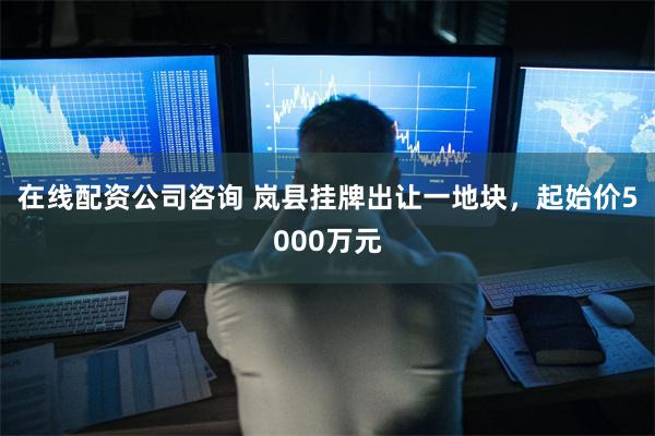 在线配资公司咨询 岚县挂牌出让一地块,起始价5000万元