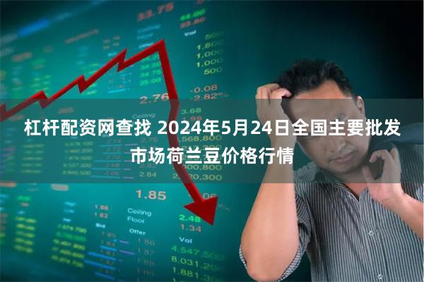 杠杆配资网查找 2024年5月24日全国主要批发市场荷兰豆价格行情