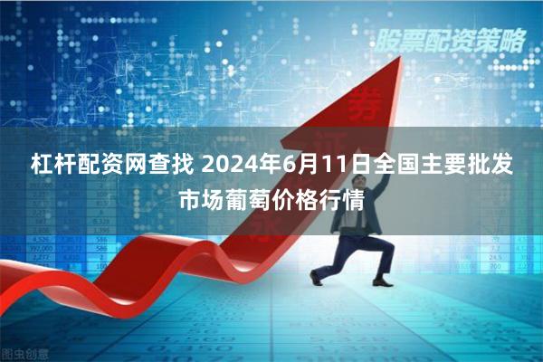 杠杆配资网查找 2024年6月11日全国主要批发市场葡萄价格行情