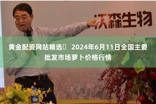 黄金配资网站精选 2024年6月11日全国主要批发市场萝卜价格行情