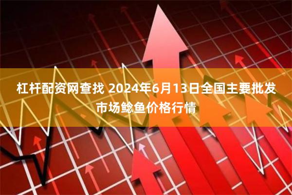 杠杆配资网查找 2024年6月13日全国主要批发市场鲶鱼价格行情