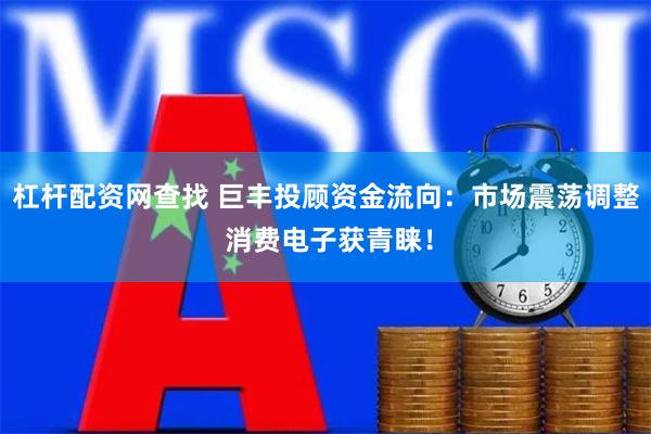 杠杆配资网查找 巨丰投顾资金流向:市场震荡调整 消费电子获青睐!