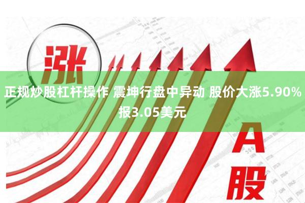 正规炒股杠杆操作 震坤行盘中异动 股价大涨5.90%报3.05美元