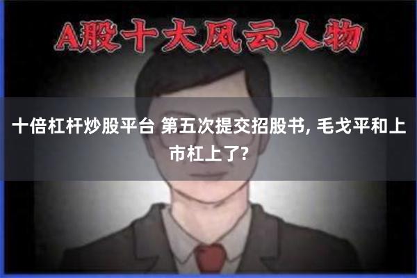 十倍杠杆炒股平台 第五次提交招股书, 毛戈平和上市杠上了?