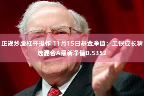 正规炒股杠杆操作 11月15日基金净值:工银成长精选混合A最新净值0.5352