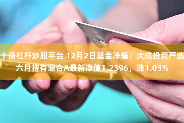 十倍杠杆炒股平台 12月2日基金净值:大成投资严选六月持有混合A最新净值1.2396,涨1.03%