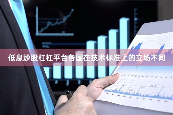 低息炒股杠杠平台各国在技术标准上的立场不同